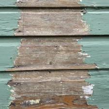 Revitalize Your Portland Home with Professional Paint Stripping Services