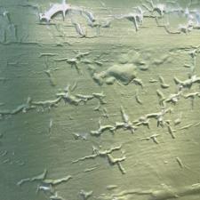 Revitalize-Your-Portland-Home-with-Professional-Paint-Stripping-Services 3